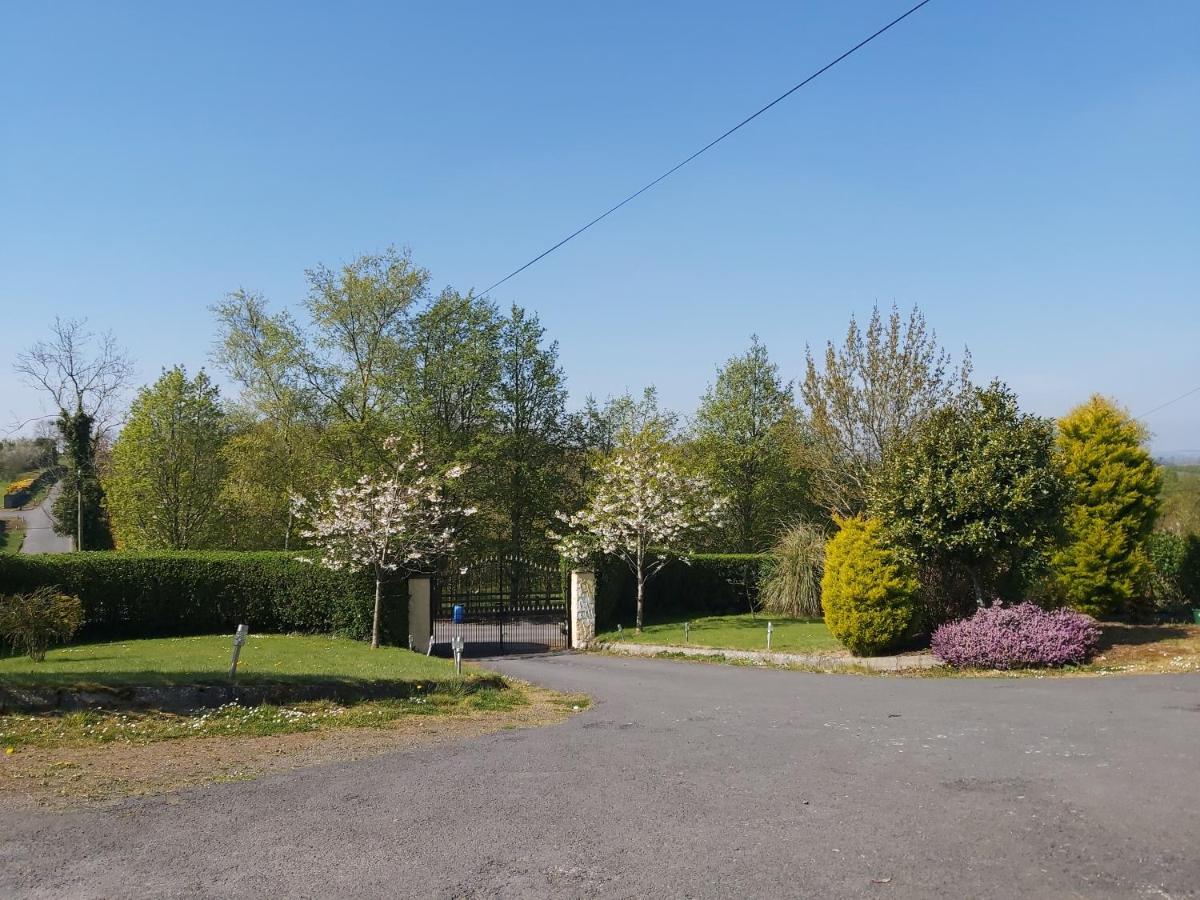 Drumhirk House Newtownards Zewnętrze zdjęcie